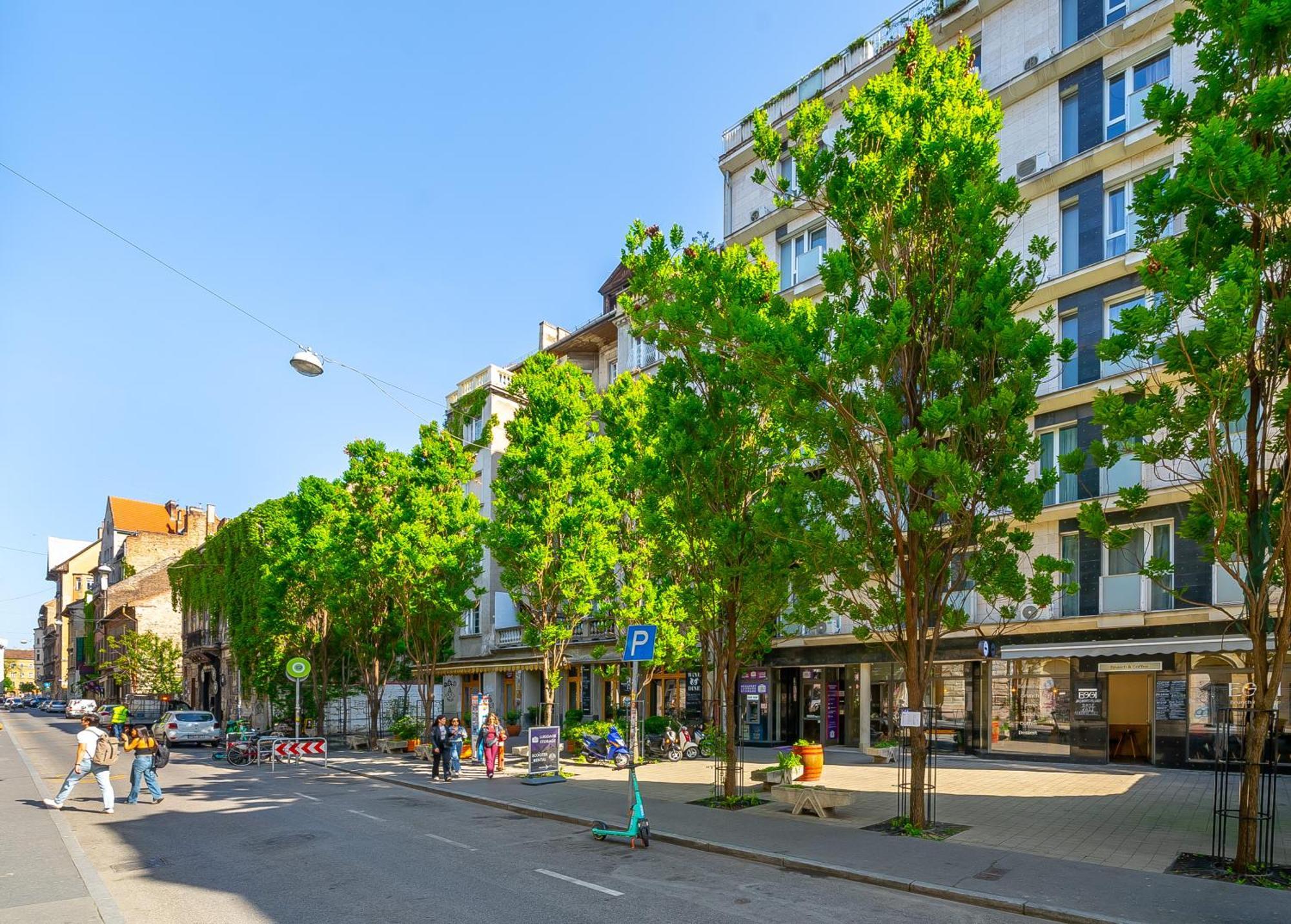 Apartament Klauzal 11-202 Center Budapesta